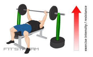 resistance bands bench press