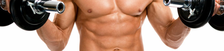 Muscle Banner