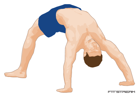 Bridge - Bodyweight Exercises - Fitstream