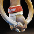 Gymnastics Ring Thumbnail