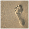 Sandfootprint