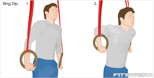 Ringdipexercise