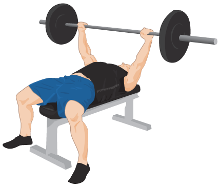 Bench Press Exercise Guide Tips Weight Training Exercises